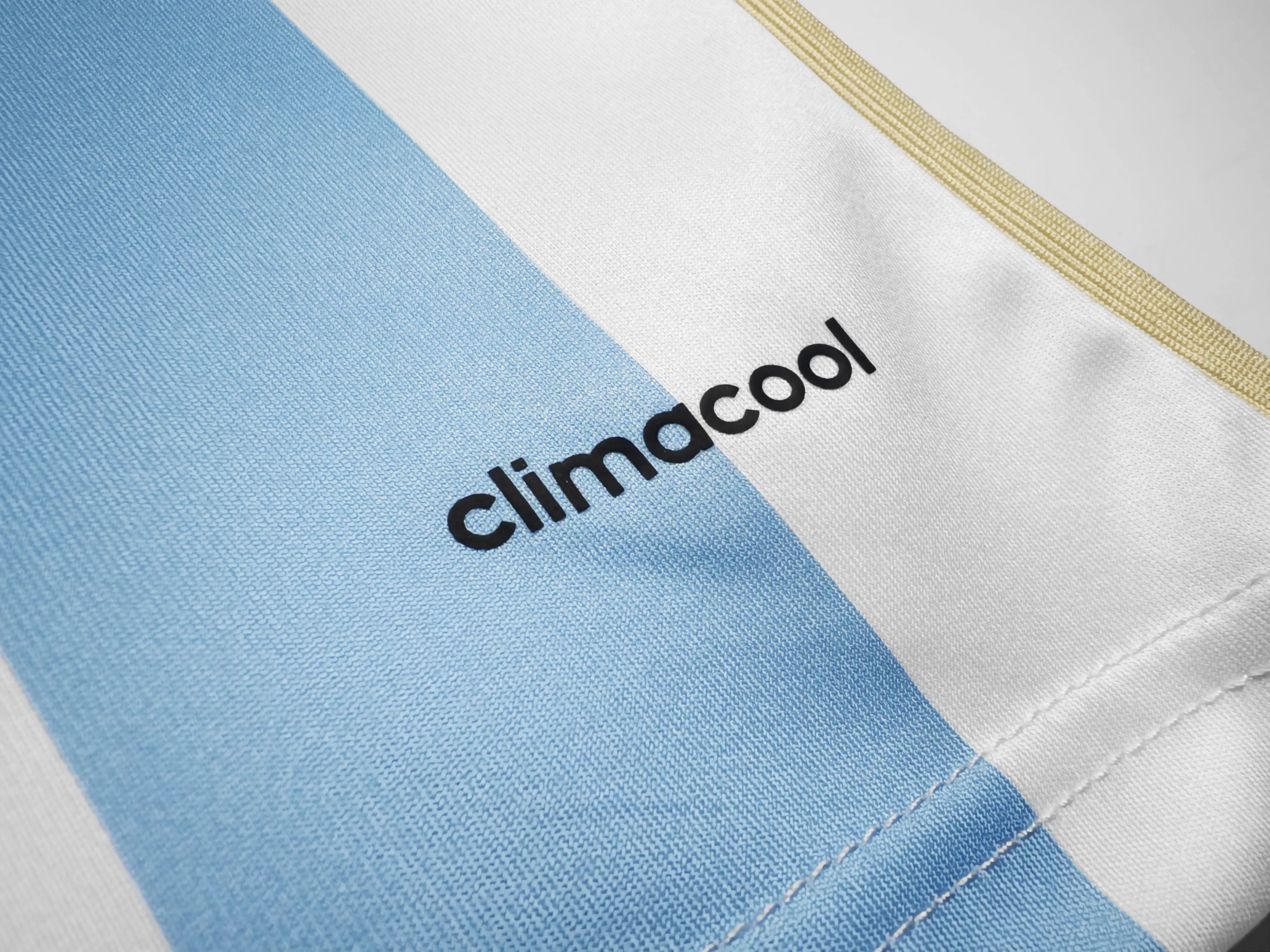 2014赛季阿根廷主场复古2A