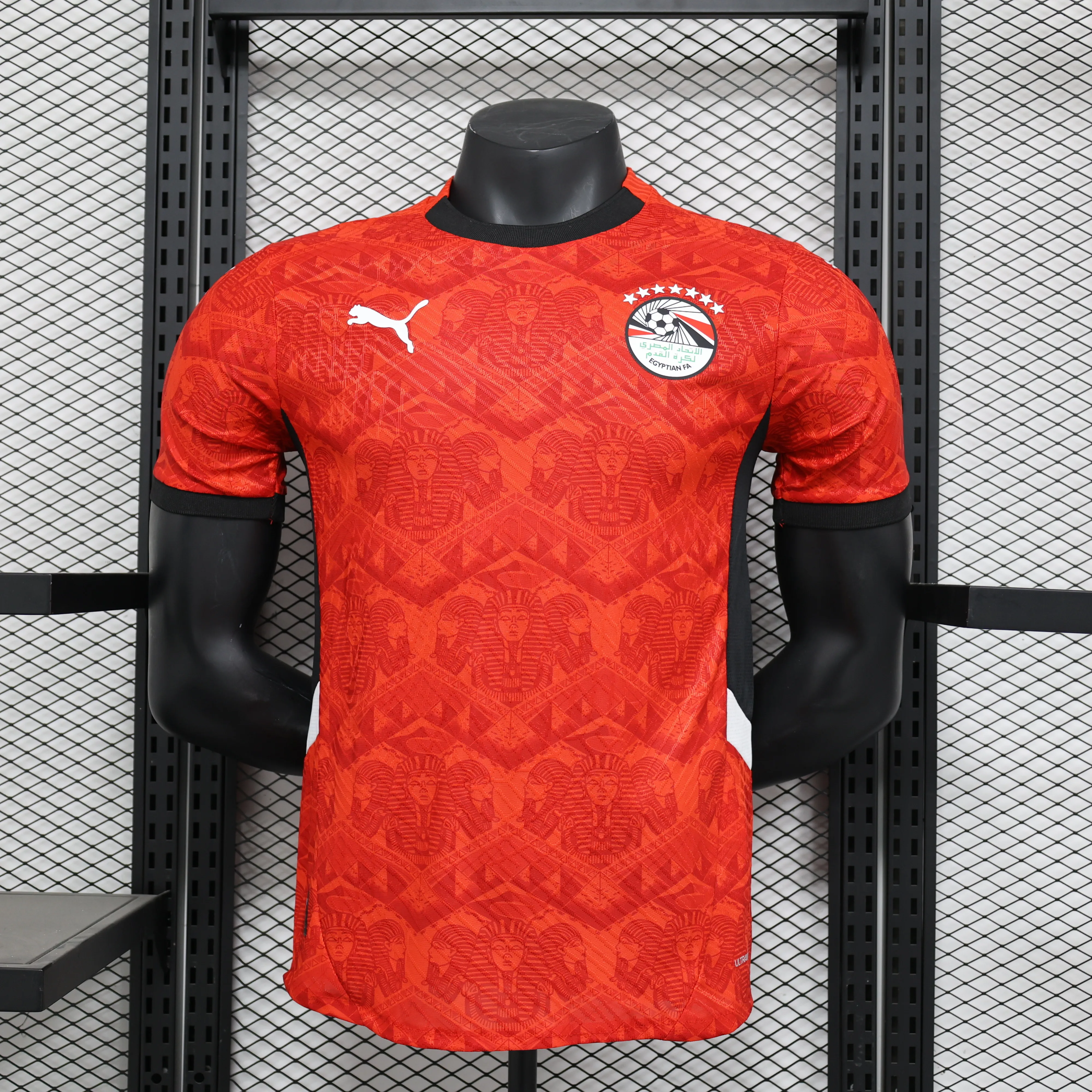 球员:埃及主红