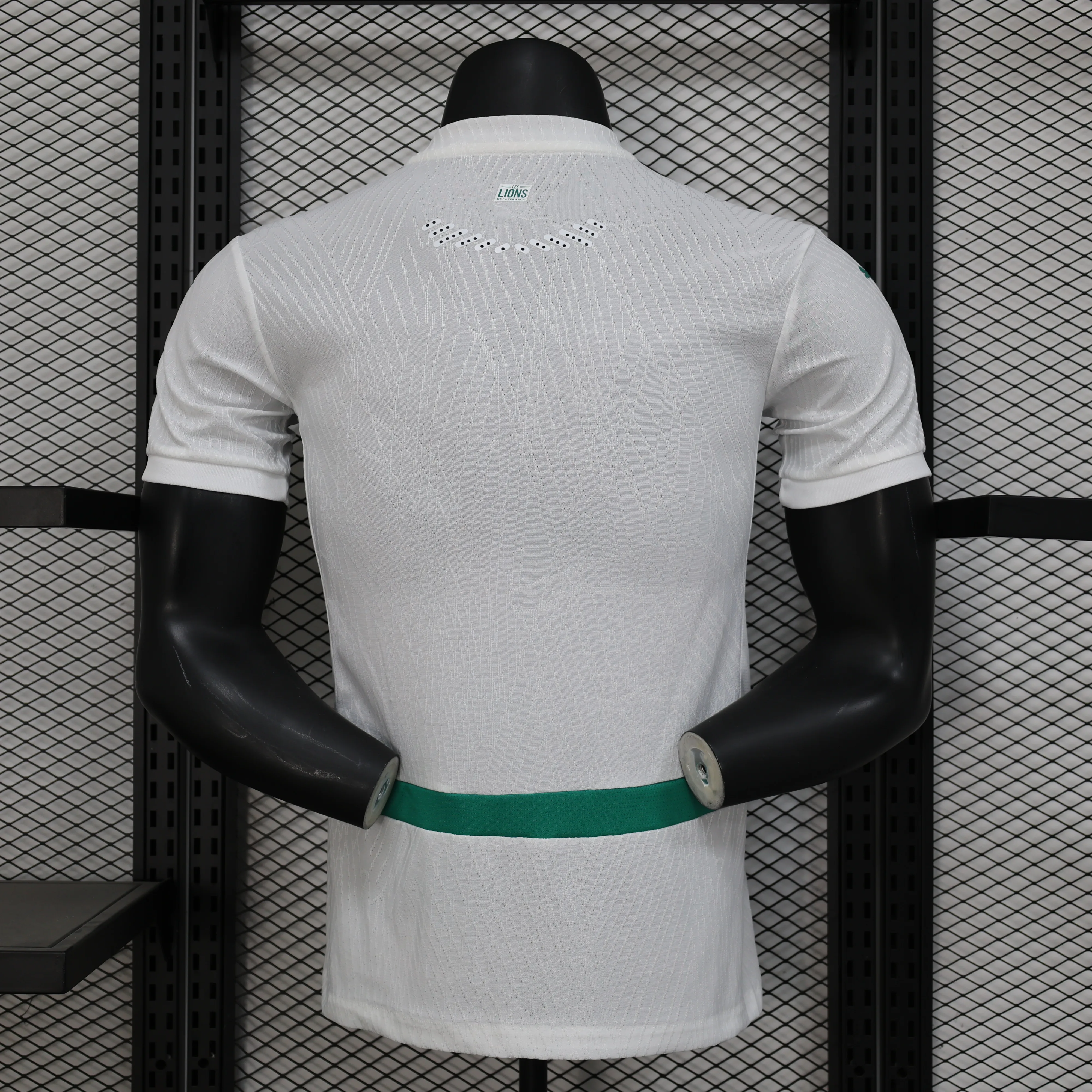 球员:打孔塞内加尔客