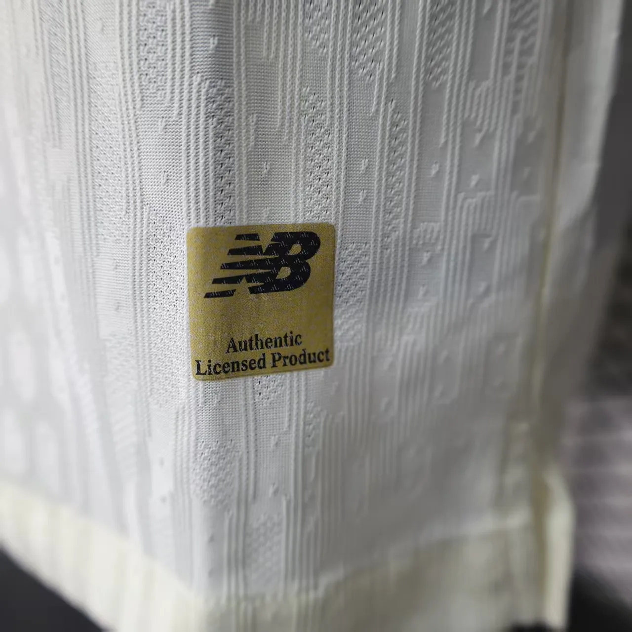 球员:25-26里尔客