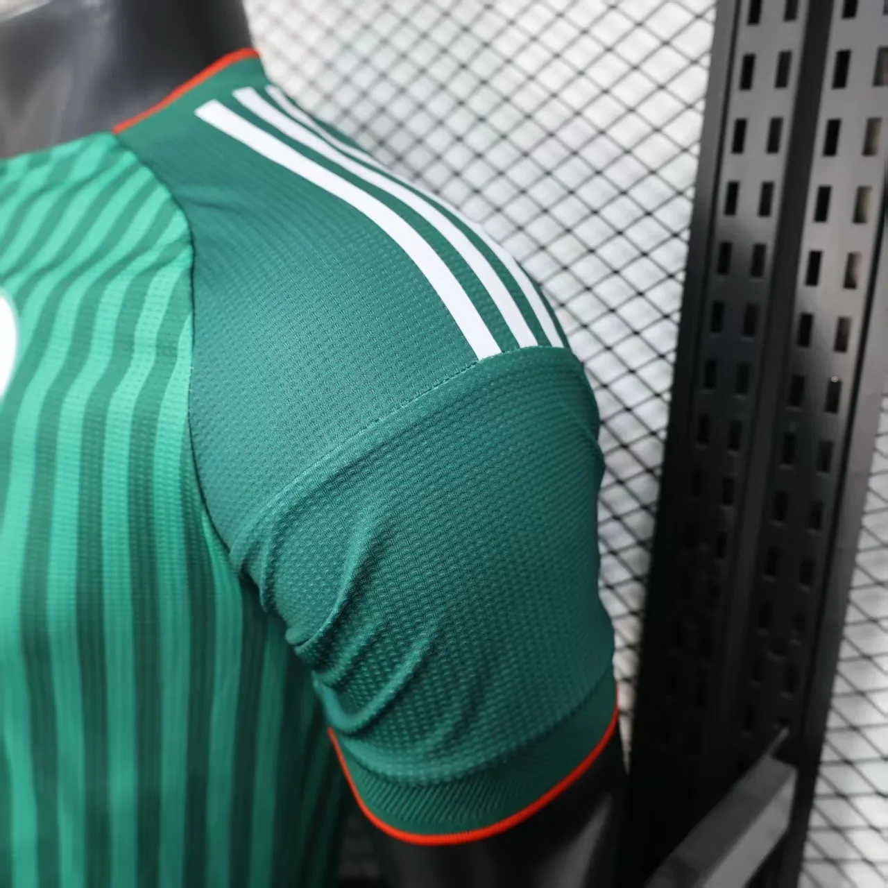 S-3XL:阿尔及利亚客