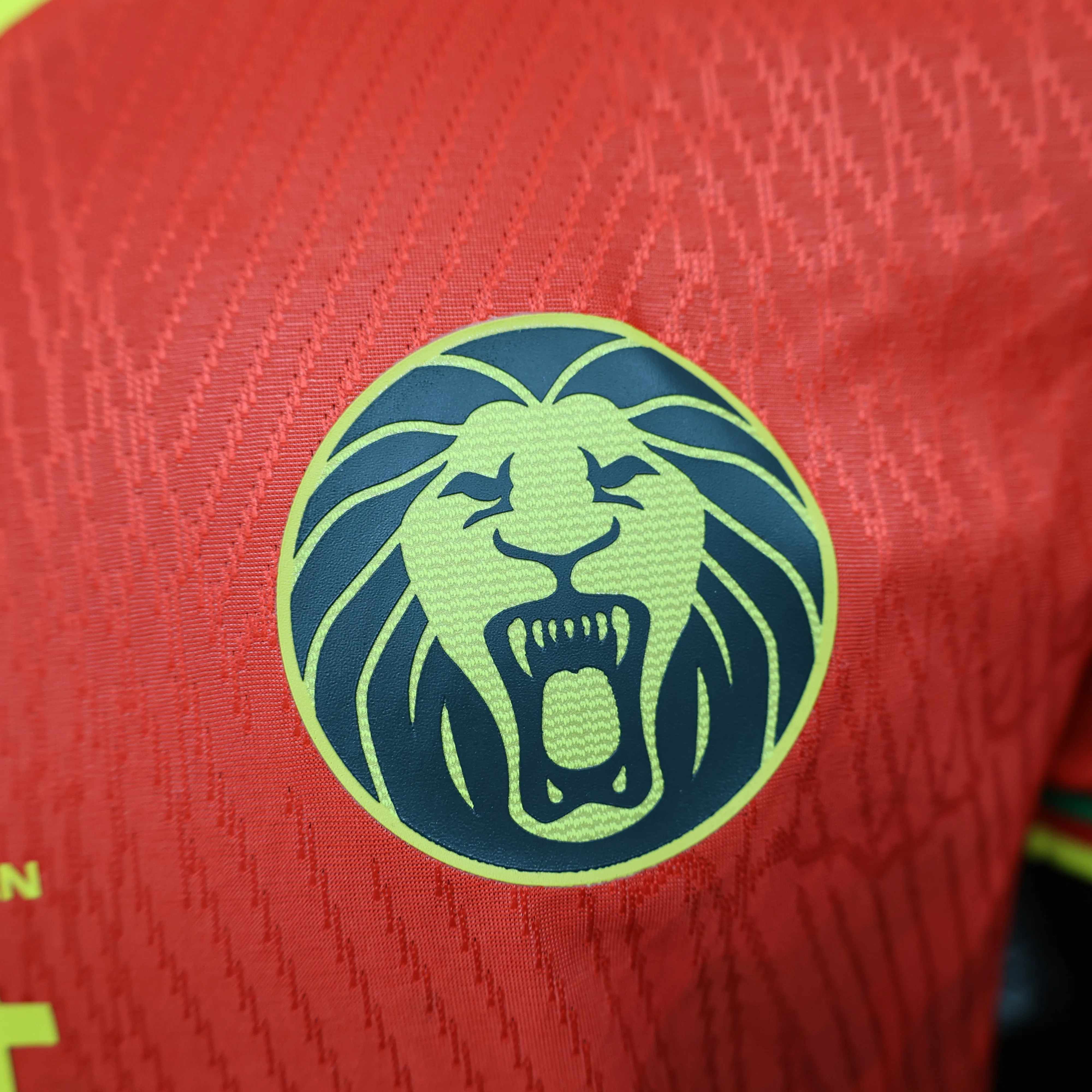 球员；喀麦隆红