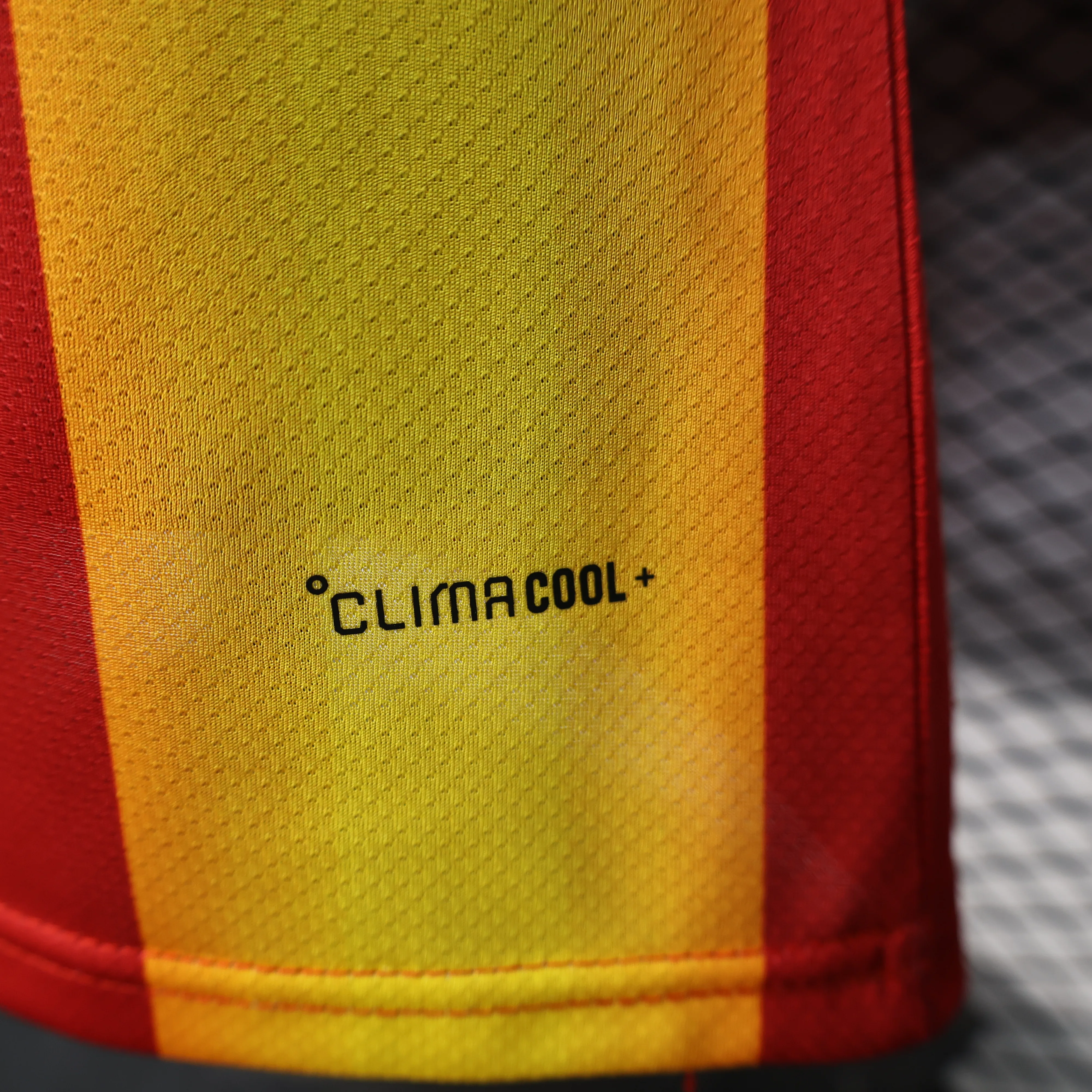 球员。西班牙特别版
